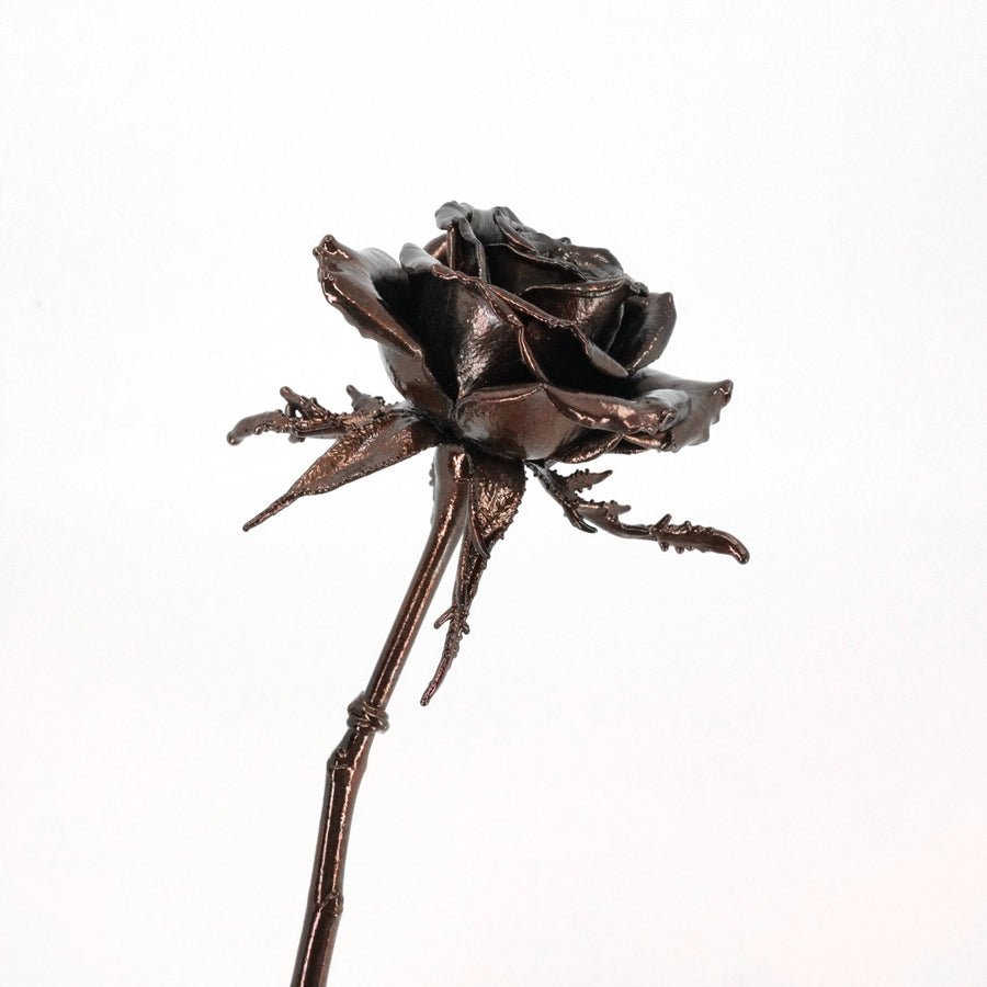 19th Anniversary Gifts — Bronze