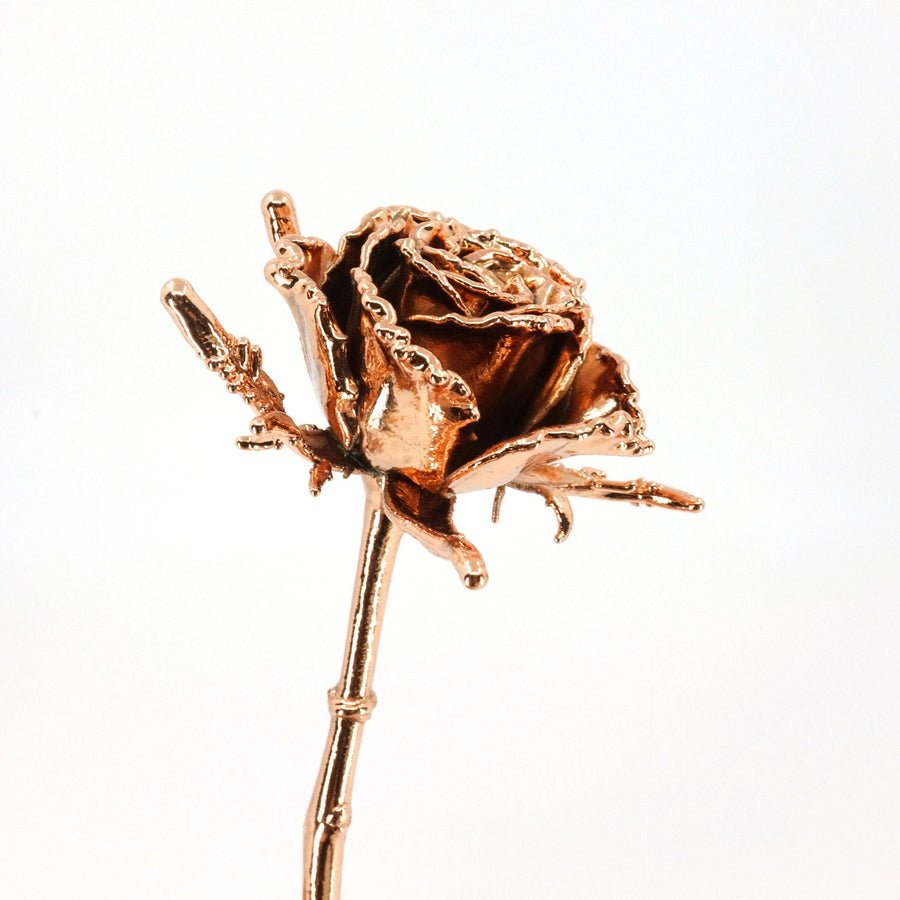 22nd Anniversary Gifts — Copper