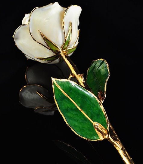 Ivory-White Preserved Rose with Gold Trim
