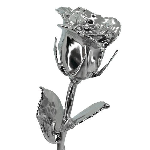 20th Anniversary Gifts — Platinum