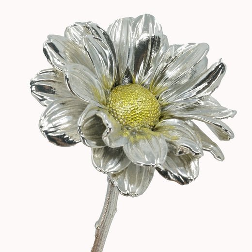 Gold & Silver Preserved Daisies