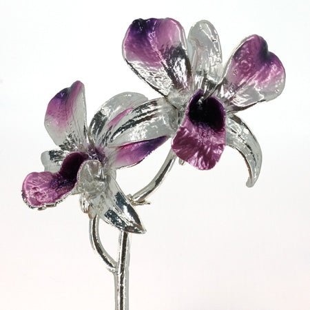 28th Anniversary Gifts — Orchid