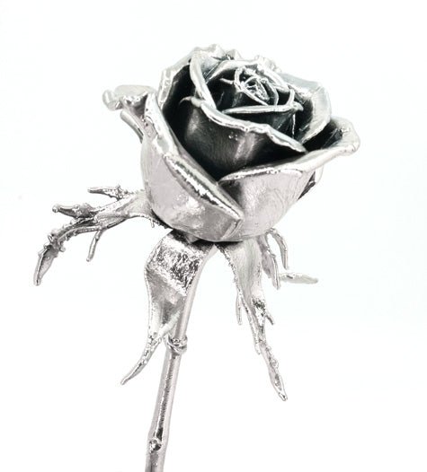 25th — silver